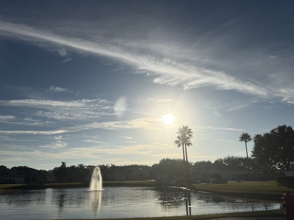 LaShonLuv1's tweet image. Brevard County FL 🤮