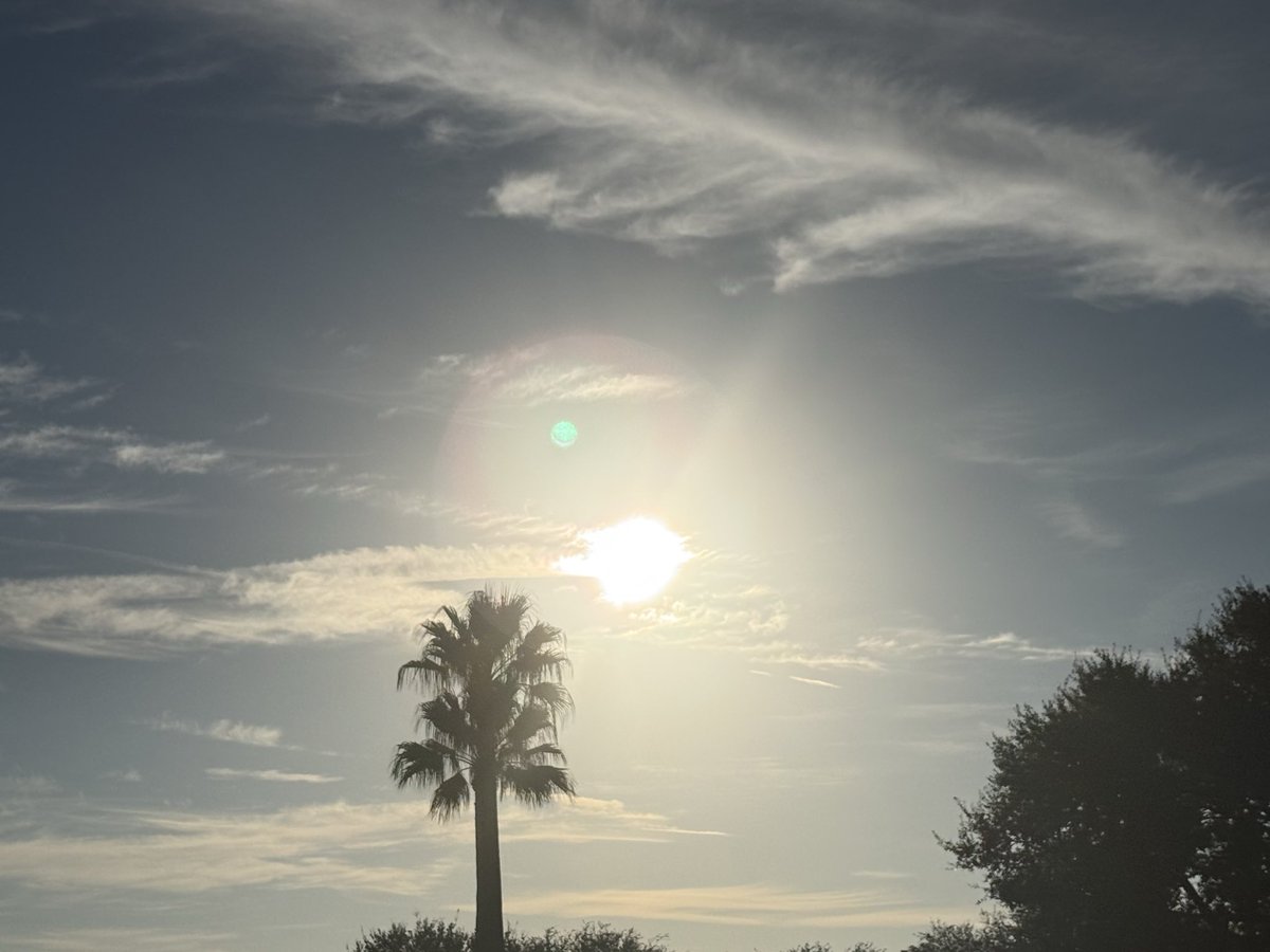 LaShonLuv1's tweet image. Brevard County FL 🤮