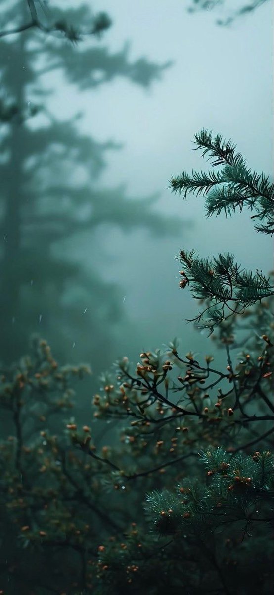 Ahmadansari2233's tweet image. Hey X fam do you like this #iOS26 3D Wallpaper effects