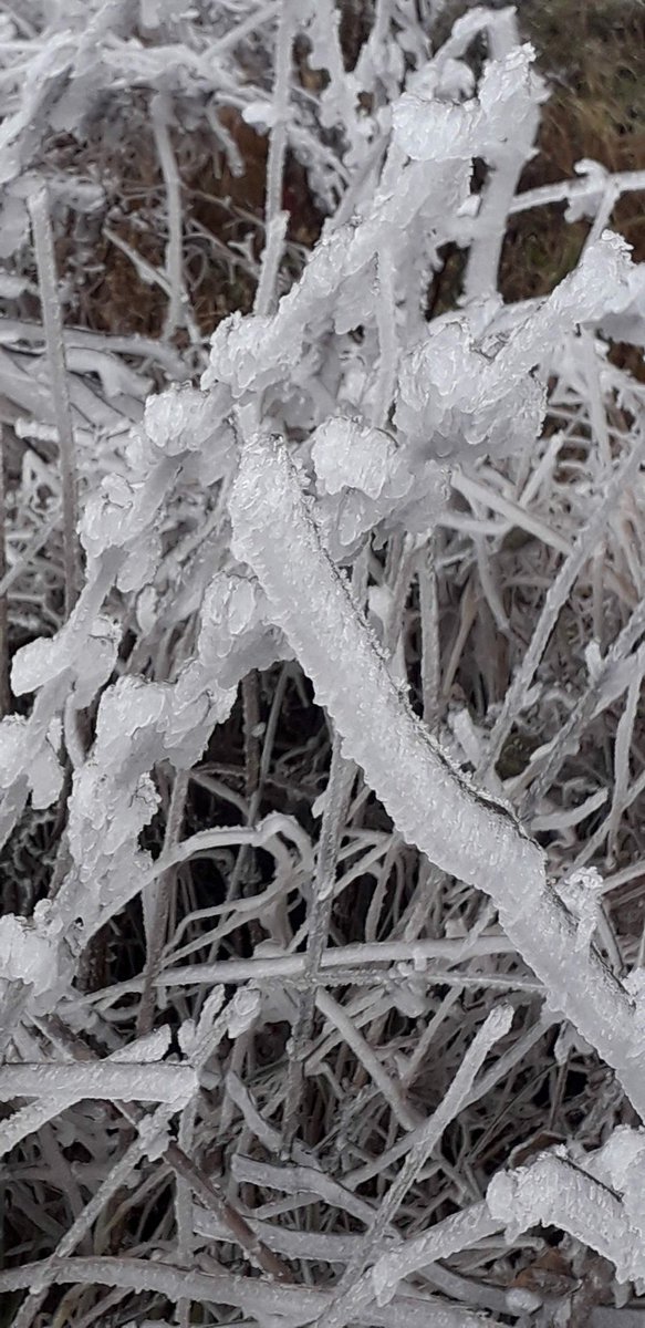 MarcelaKovov4's tweet image. Pomíjivost... ❄️