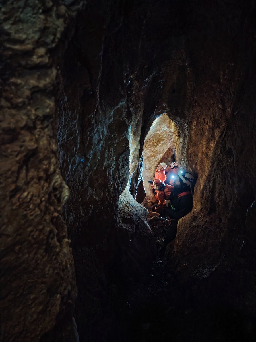 RobinNinon1's tweet image. Down to the Eocene-Oligocene Quercy karst with colleagues from @isemevol and @GET_Toulouse for our Meduse-P project 🦇 @CNRS @CaussesDuQuercy #fossils  #phosphate #bats #speleology