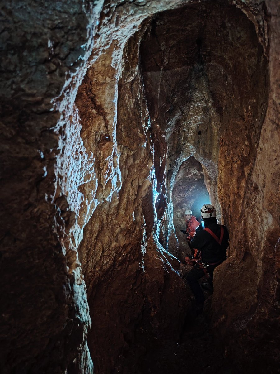 RobinNinon1's tweet image. Down to the Eocene-Oligocene Quercy karst with colleagues from @isemevol and @GET_Toulouse for our Meduse-P project 🦇 @CNRS @CaussesDuQuercy #fossils  #phosphate #bats #speleology