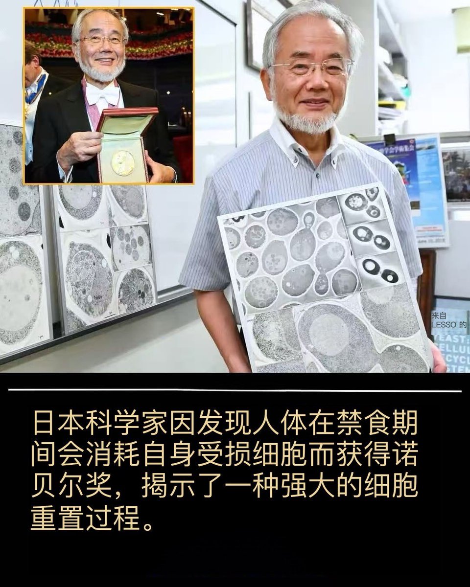 xYsfknBXPT6M0jo's tweet photo. 一位日本科学家因发现人体最强大的自愈机制之一而荣获诺贝尔奖：在禁食期间，人体会开始吞噬自身受损细胞，从而触发一种被称为自噬的深度细胞重置过程。这一自然过程如同一个内部清洁系统，能够分解衰老和疾病相关的衰老蛋白质、功能失调的细胞成分以及毒素积累。这项发现表明，禁食不仅仅改变新陈代谢，它还能激活我们生物体中固有的基本生存程序。

研究人员发现，自噬能够促进细胞更新、支持免疫功能、预防神经退行性疾病并增强整体抵抗力。当身体不再忙于消化食物时，它会将重心转移到维护和修复上，将受损组织回收利用，转化为新鲜健康的成分。这有助于减少炎症、提升大脑功能并增强身体应对压力的能力。一些研究甚至表明，激活自噬可能降低与衰老相关的慢性疾病的风险。

这项荣获诺贝尔奖的研究彻底改变了科学家们对禁食的看法，使其从一种简单的饮食潮流转变为一种真正意义上的生物重置方式。医生们现在表示，间歇性禁食——只要安全进行——就能帮助维持长期的细胞健康，提升能量水平，并改善代谢平衡。虽然它并非万能药，但这项发现表明，在合适的条件下，人体拥有非凡的自我修复能力。

对于全世界数百万人来说，这项研究打开了一扇新的窗口，让我们得以了解我们的生活方式对细胞的深远影响，以及像安排用餐时间这样简单的事情如何能够激活人体最强大的修复系统之一。