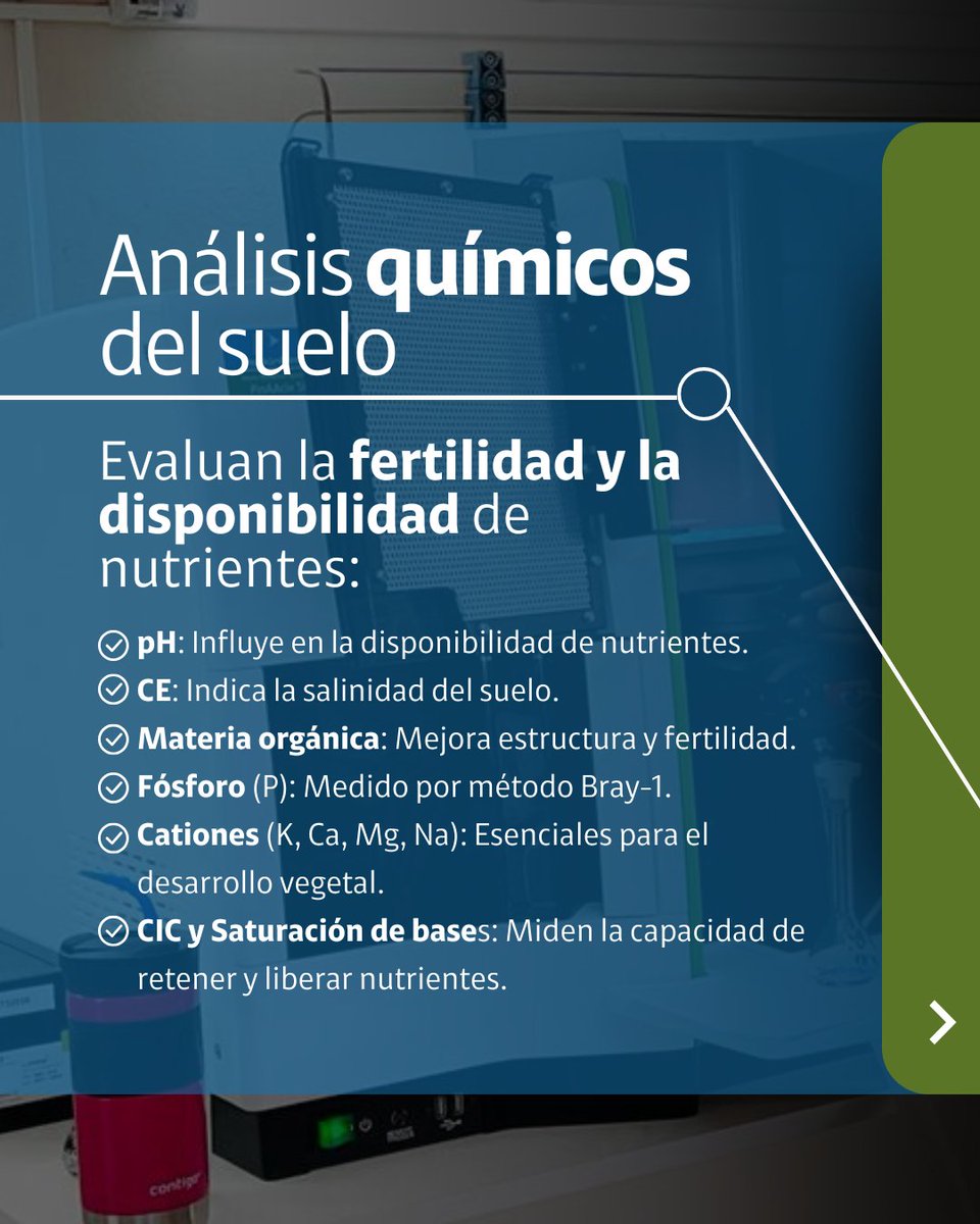Easyagroap's tweet image. En EasyAgro, nuestro 𝗹𝗮𝗯𝗼𝗿𝗮𝘁𝗼𝗿𝗶𝗼 𝗽𝗿𝗼𝗽𝗶𝗼 y tecnología de precisión te dan datos clave para optimizar fertilizantes, mejorar el riego y cuidar tus suelos.

𝗦𝗢𝗠𝗢𝗦 𝗘𝗔𝗦𝗬 𝗔𝗚𝗥𝗢. 𝗦𝗔𝗕𝗘𝗠𝗢𝗦 𝗗𝗘 𝗦𝗨𝗘𝗟𝗢.

#EasyAgro #AnálisisDeSuelos