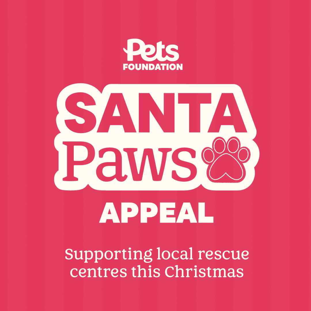 DT_Merseyside's tweet image. We’re participating in the Pets Foundation’s Santa Paws Appeal! We’re being supported by Prescot Pets at Home. Visit between 1st and 24th December to support us, donate, and meet some of our lovely team!

@petsfdtnuk 
@petsathome  

#SantaPaws
