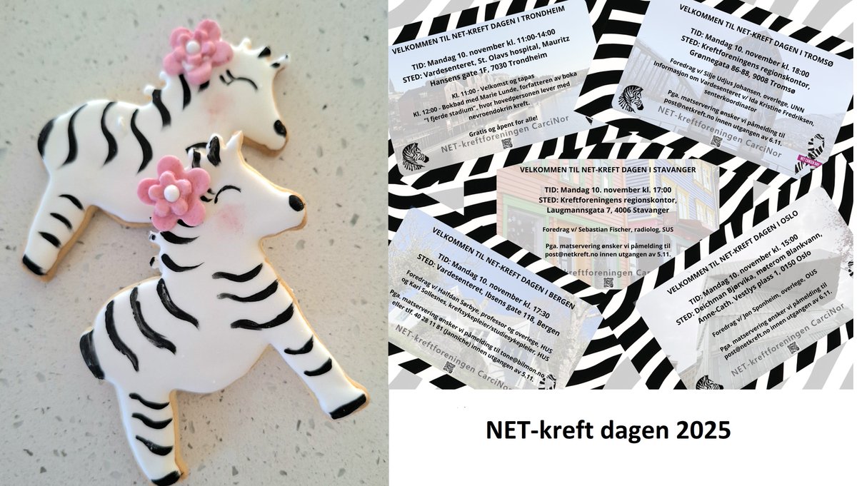 netcancerday's tweet photo. 👏Kudos to @CarciNor  for an exciting NET Cancer Day 2025 in Norway! 
👉A series of patient events, social media campaign, information films and more – read more: https://t.co/xFRwz4G2hJ
#LetsTalkAboutNETs #NETCancerDay https://t.co/0bAuqBe6qE