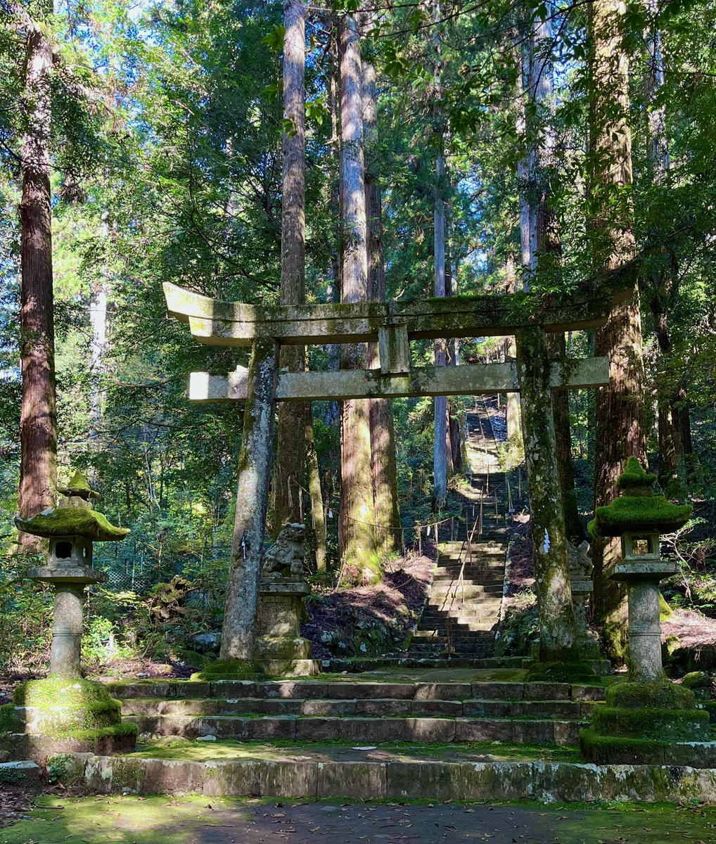 gorogoropanda11's tweet photo. 山の中に佇む⛩️

森林浴もできてスッキリ！
#瀧神社  #自然 https://t.co/a0bjDl8Y4m
