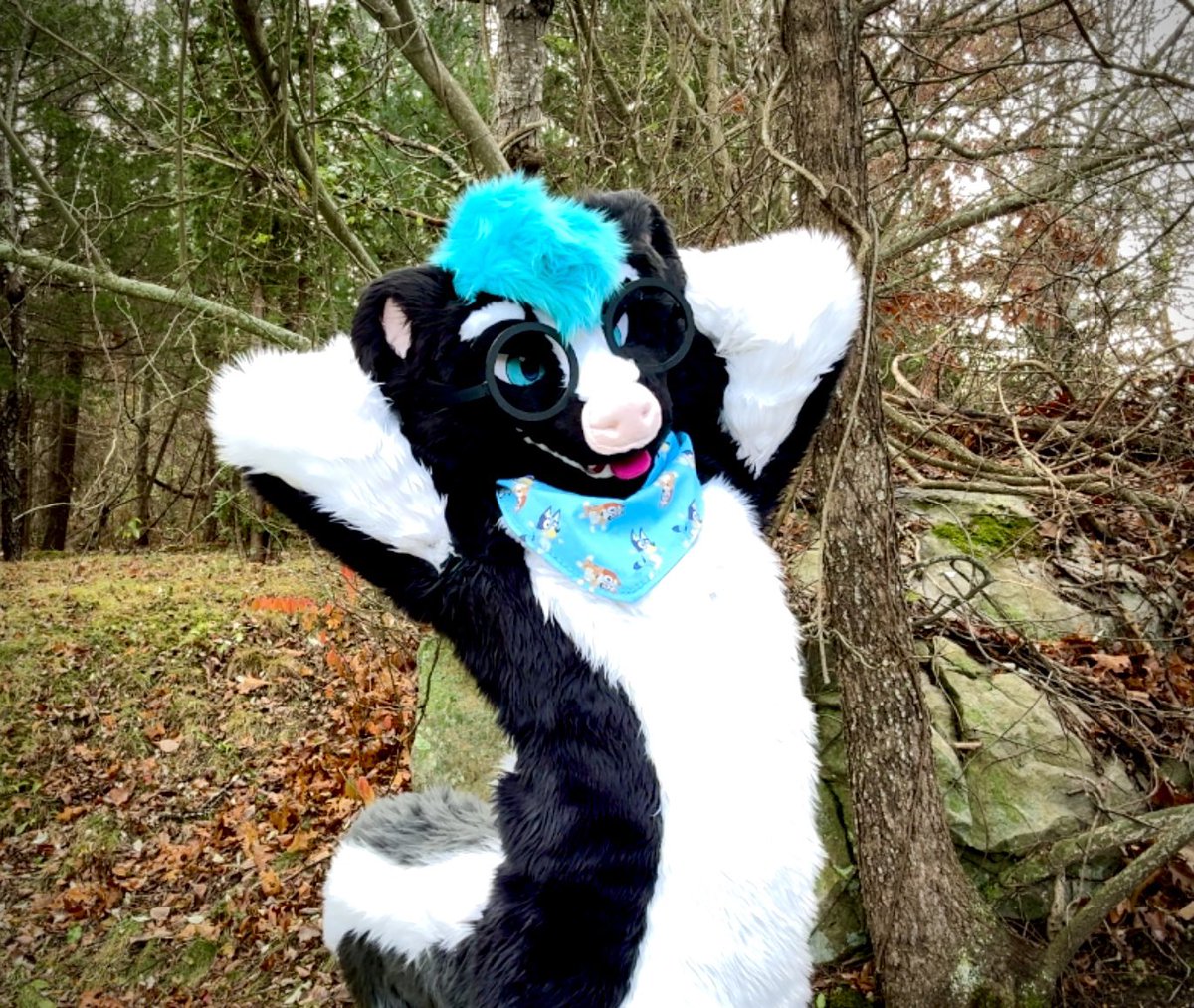 ShadeSkunk🔜Furridelphia, Furpoc tweet media