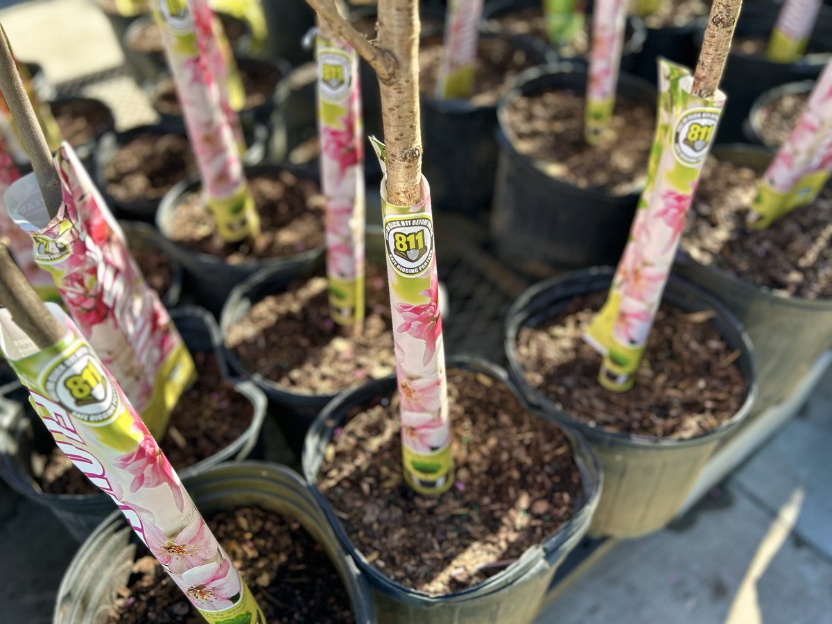 A twitter image associated with this post.