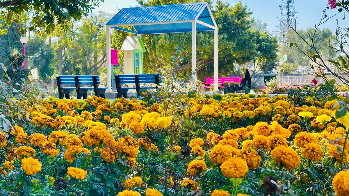 MaryamNSharif's tweet image. Mandi Bahauddin.