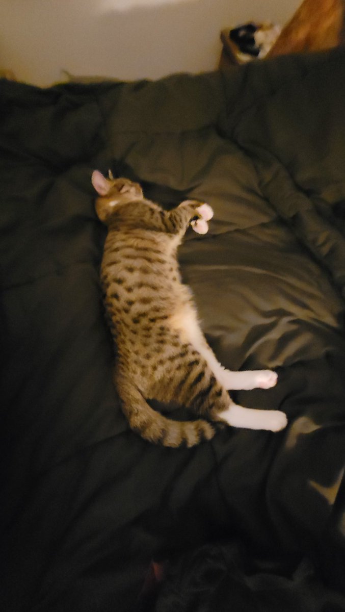 MistressCha || #SaveDeadBoyDetectives tweet media