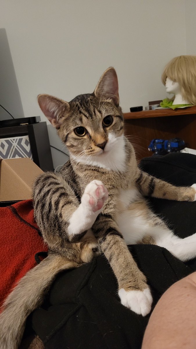 MistressCha || #SaveDeadBoyDetectives tweet media