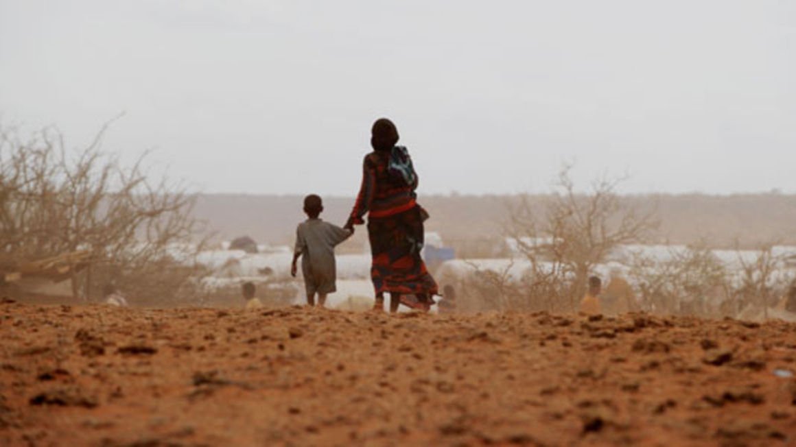 Rashid Abdi tweet media