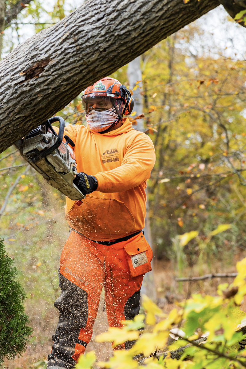 KJTreeService's tweet image. Only the best here at K&amp;amp;J, protect your yard this season and call us for a FREE tree risk assessment!!🌳⚡️
-
-
-
#FallCleanup #HelloFall #AutumnLeaves #LeafCleanup #FallSeason #SeasonalCare #YardWork #AutumnVibes #OutdoorCleanup #FallReady
#TreeService #TreeRemoval #TreeCare…