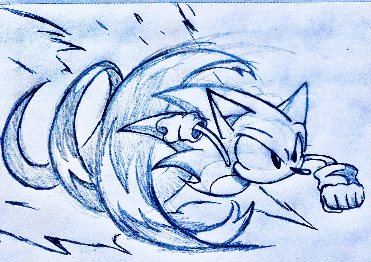 The people love when the hedgehog goes zoom