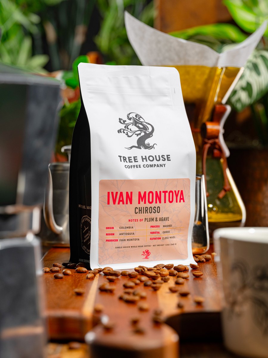 TreeHouseBrewCo's tweet image. Ivan Montoya - Whole Bean.

The refreshing qualities of sweet blush plum juice meld with mellow agave notes and lively acidity. It&apos;s a wonderful intersection of snappy and soft flavors that invite a splash of your favorite creamer.

This limited release is now available at Tree…