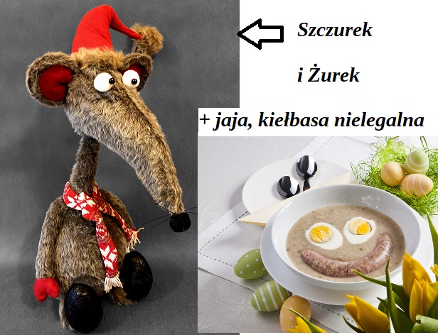 Z życia elity!
Wiele kontrowersji wzbudziły spotkania ministra "sprawiedliwości" Waldemara Żurka ze znanymi antypisowskimi „aktywistami”, skazanymi za  różne przestępstwa.
W pobliżu budynku prokuratury  w Warszawie widziano  m. in A. Szczurka.
Jaka elita takie i nasze życie!