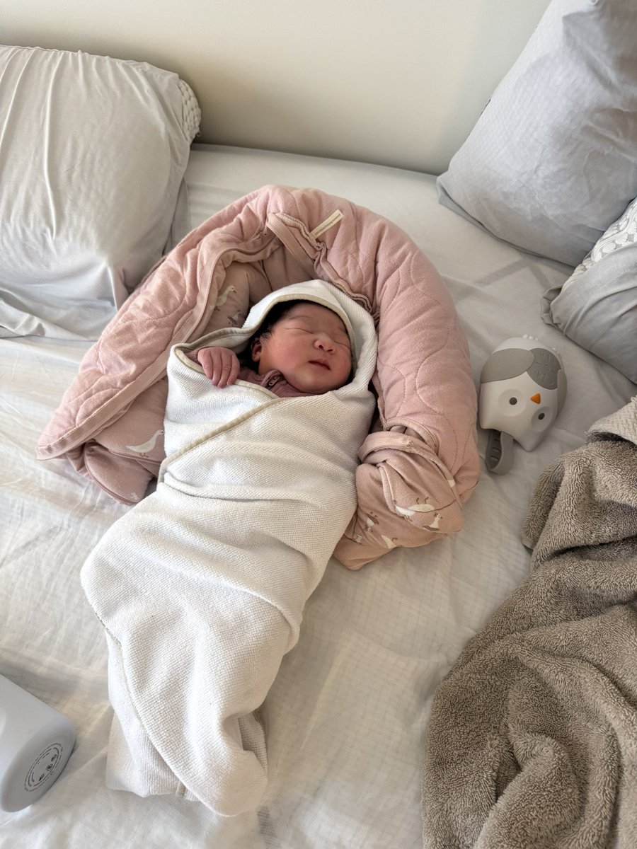 海老师 | Haywar tweet media