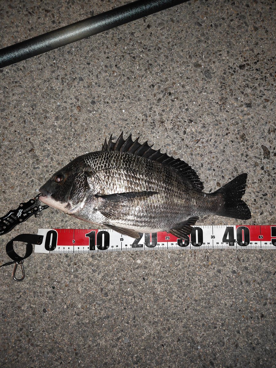 いっちー (@Capone_2000) / Posts / X