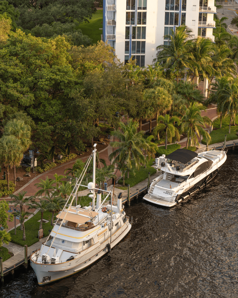 DowntownFTL tweet media