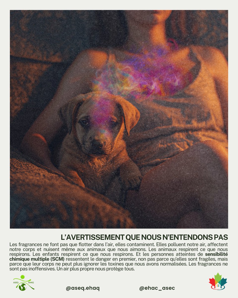EHAC_ASEC's tweet image. Les fragrances ne font pas que flotter dans l’air, elles contaminent. Elles polluent notre air, affectent notre corps et nuisent même aux animaux que nous aimons.

Les animaux respirent ce que nous respirons. Les enfants respirent ce que nous respirons.