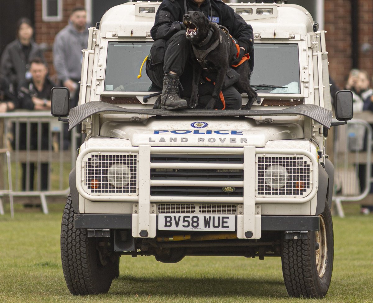 WMP Dog Unit tweet media