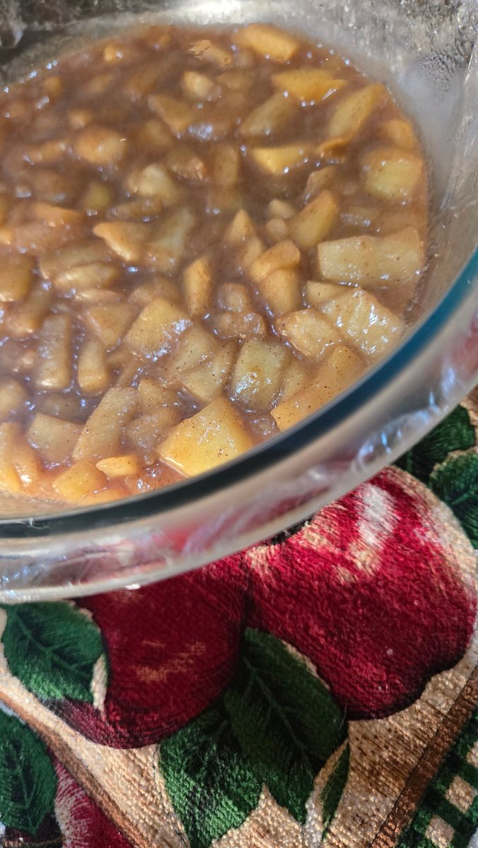 StitchieVickie's tweet image. Pie filling was done last night! Crust in a few hours!
#thanksgivingbaking #offgrid #stitchievickie #stitchievickiecreations