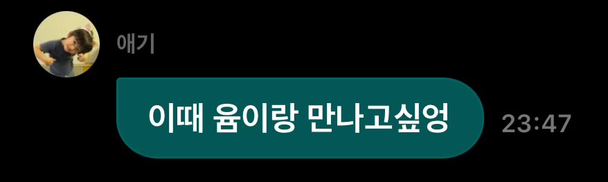 아 ㅁㅊ 너무귀여울거같아...
저도 만나고 싶어요