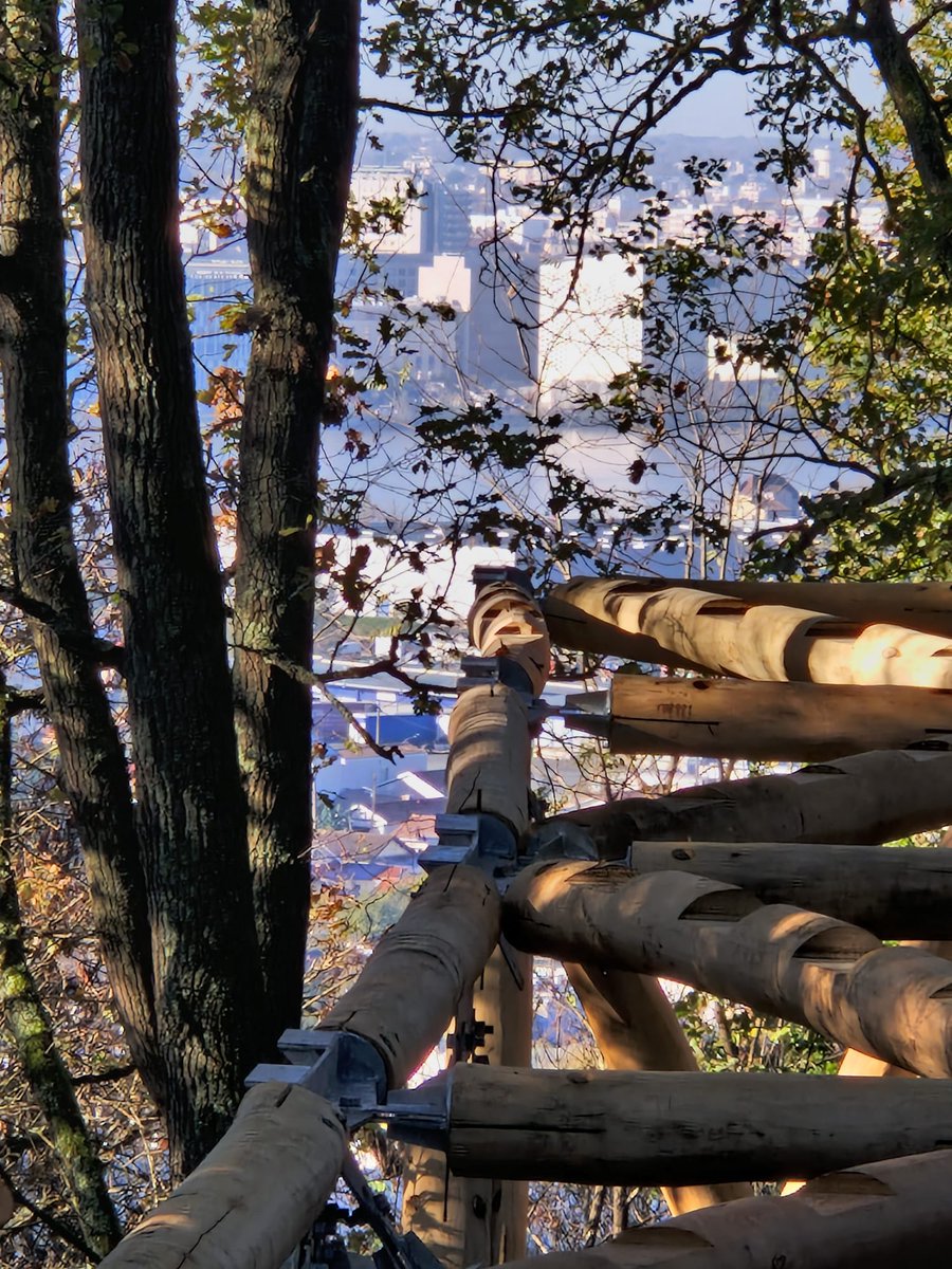 Forêt expérimentale de l'Université de Bordeaux tweet media