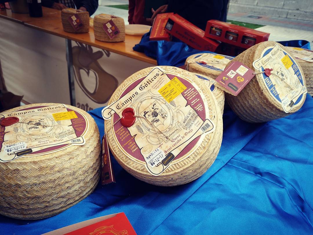 ¿Sabías que en Quesos Campos Góticos elaboran sus quesos a partir de leche cruda de oveja, utilizando cuajo animal del lechazo? Esto les permite conservar todos los aromas y sabores primitivos 👏🏻