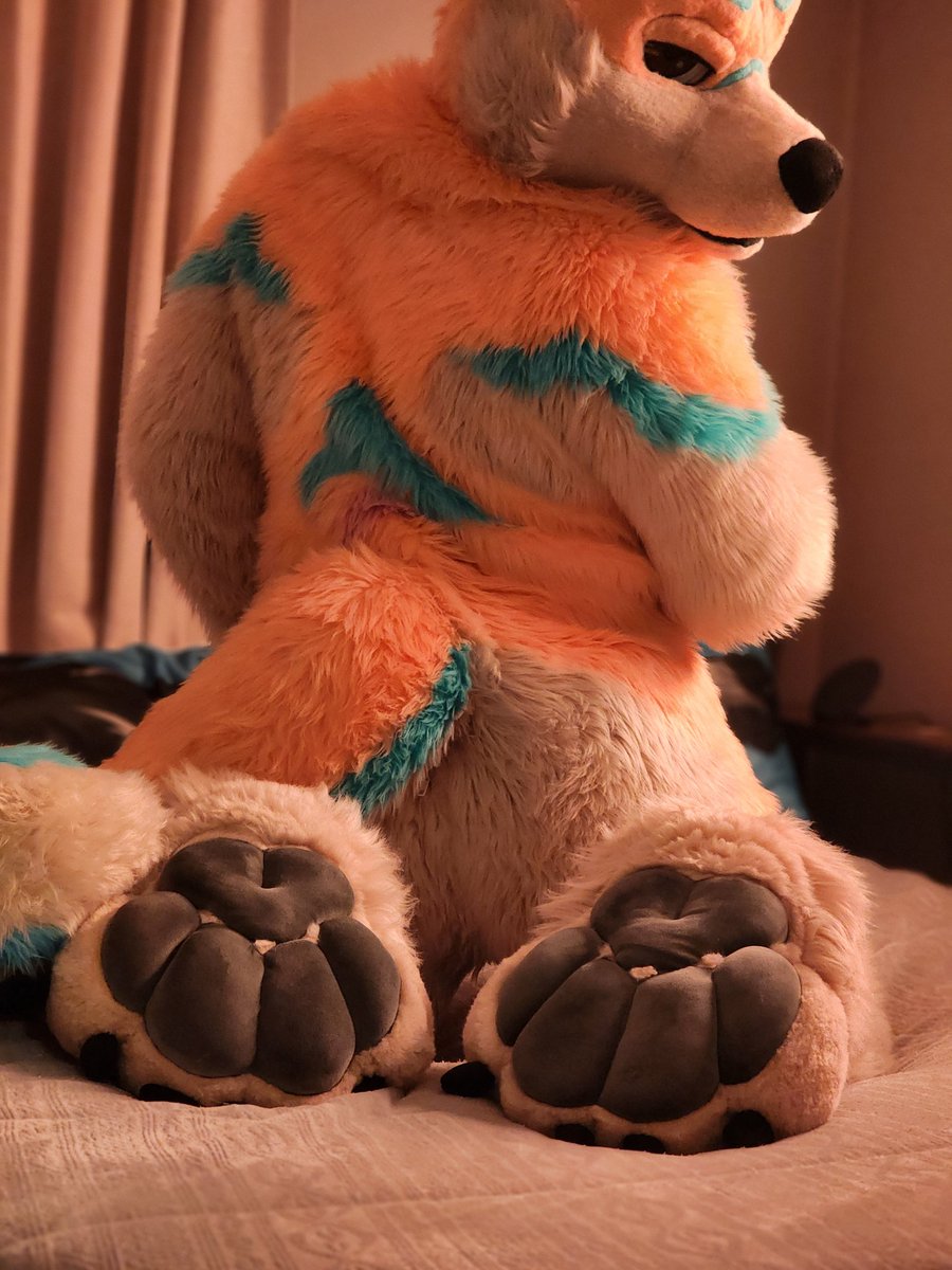 WuskySpen's tweet image. Just a sleepy doggy getting ready to curl up on a cold night
Why don&apos;t you come give me some rubs?
