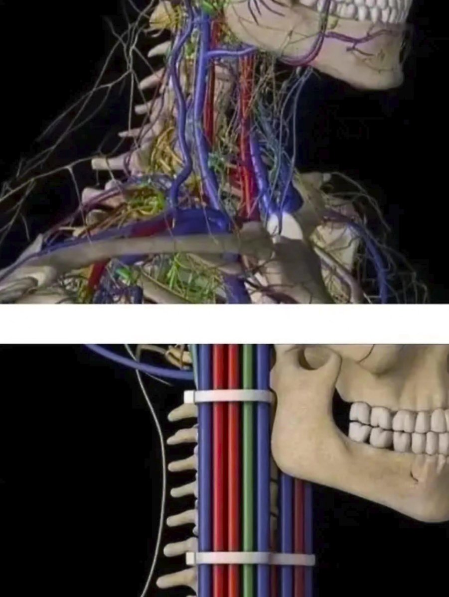 Když elektrikář přejde na medicínu...