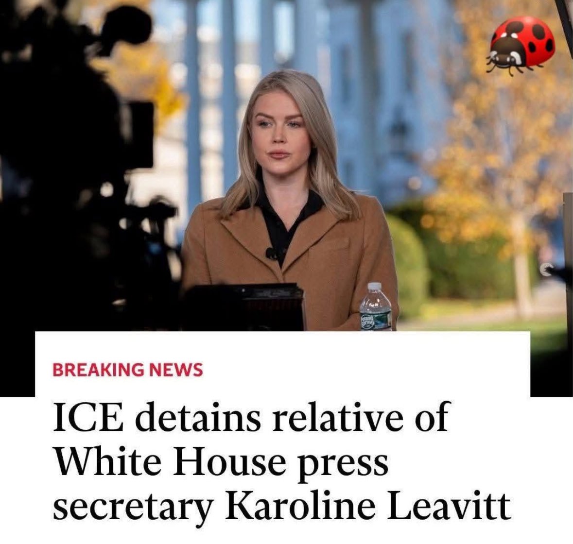 Oopsie! Let’s see how Karoline Leavitt spins this! 😂 The mother of KaroLYIN’s nephew has been detained by ICE in a Louisiana facility. She came to U.S. on DACA program, and has been here for 26 years with no criminal record.