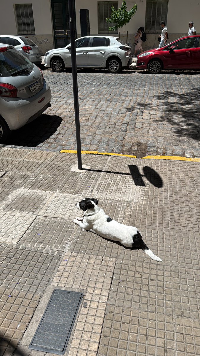 agusrecomienda's tweet image. A las pruebas me remito