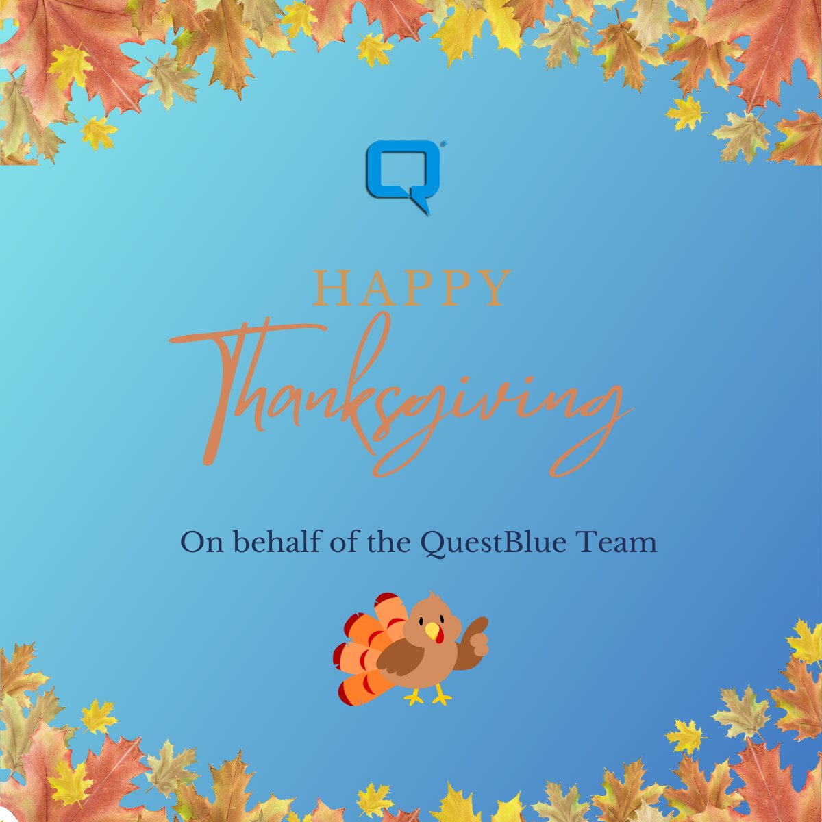 QuestBlue tweet media