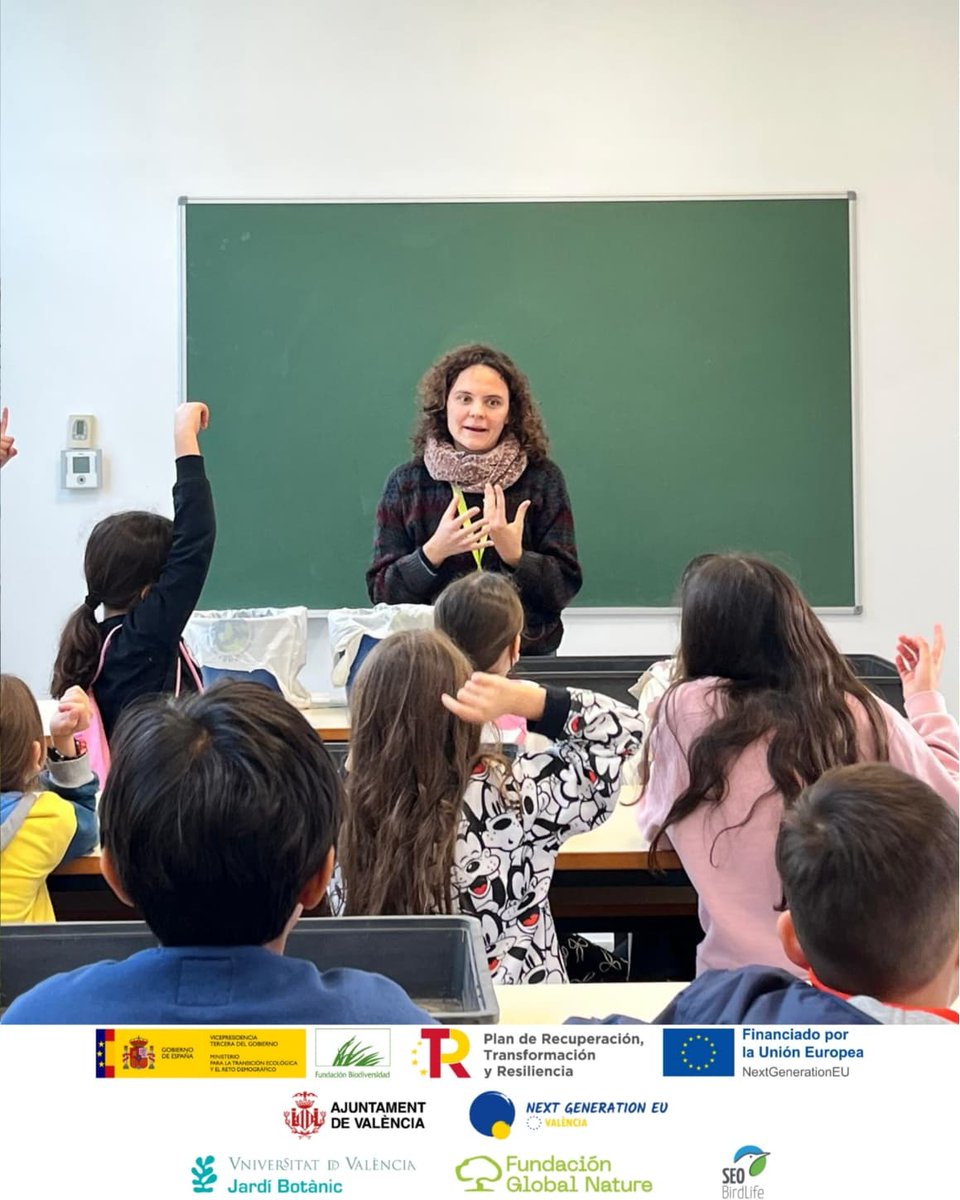 València Verda tweet media