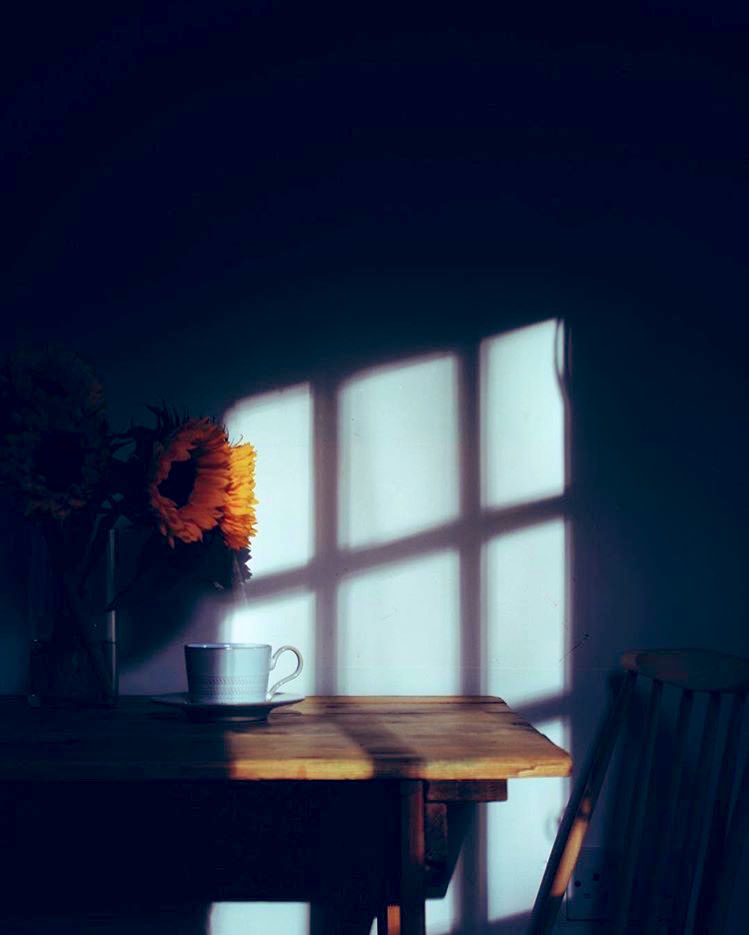 إن الحياة واسعة جدا … لكن يضيقها الإنسان على نفسه عندما يظن أن سعادته مرتبطة باشياء معينة 

"غير مكانك قليلا لترى الضوء "