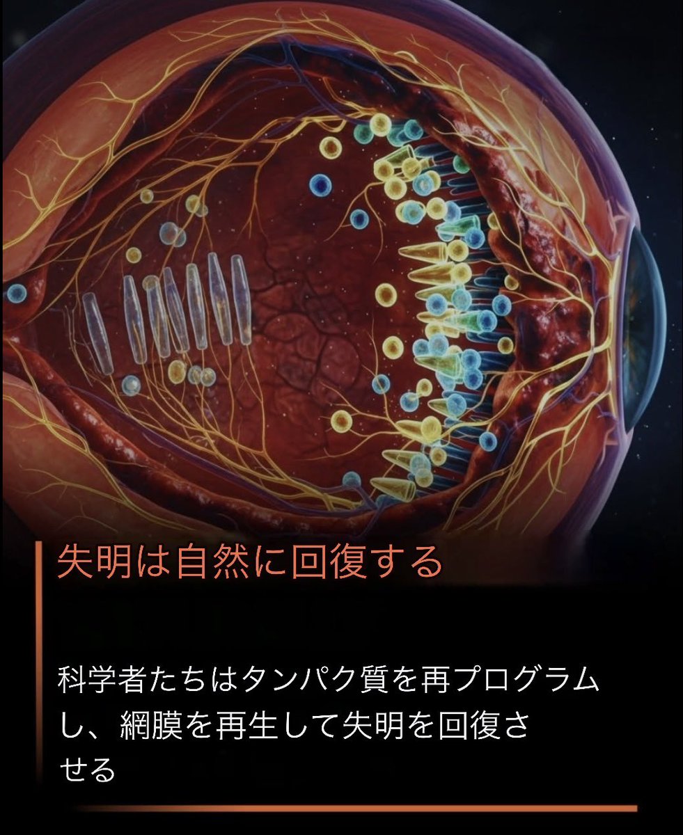 macaronmacaro15's tweet image. 👀網膜再生の研究🧬👇😃✨

・特定タンパク質操作で網膜細胞再生の可能性
・動物モデルで視力改善が確認
・ヒトへの応用はまだ臨床試験段階
・永久失明を治す治療法ではなく「将来の可能性」