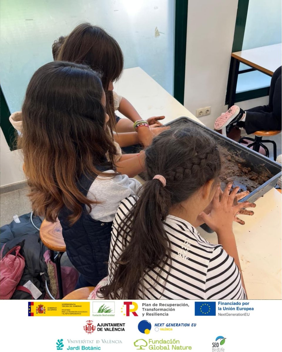 València Verda tweet media