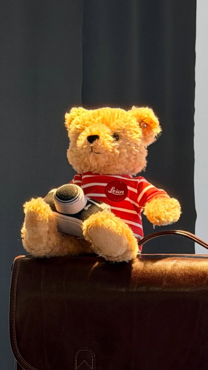 ライカ100周年 シュタイフ×ライカ Cuddle 未使用 新品 シュタイフ for Leica Cuddle シュタイフとコラボした