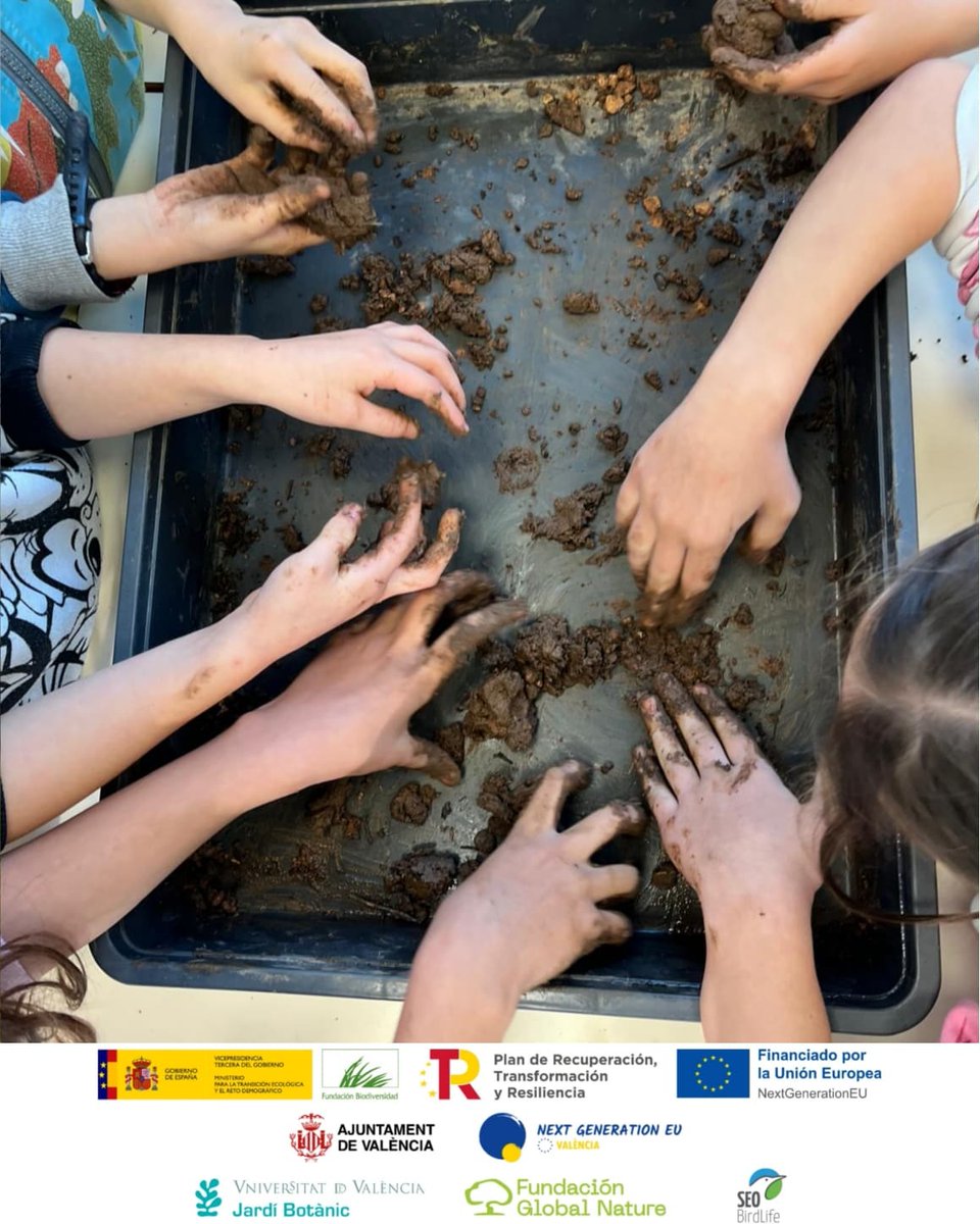 València Verda tweet media