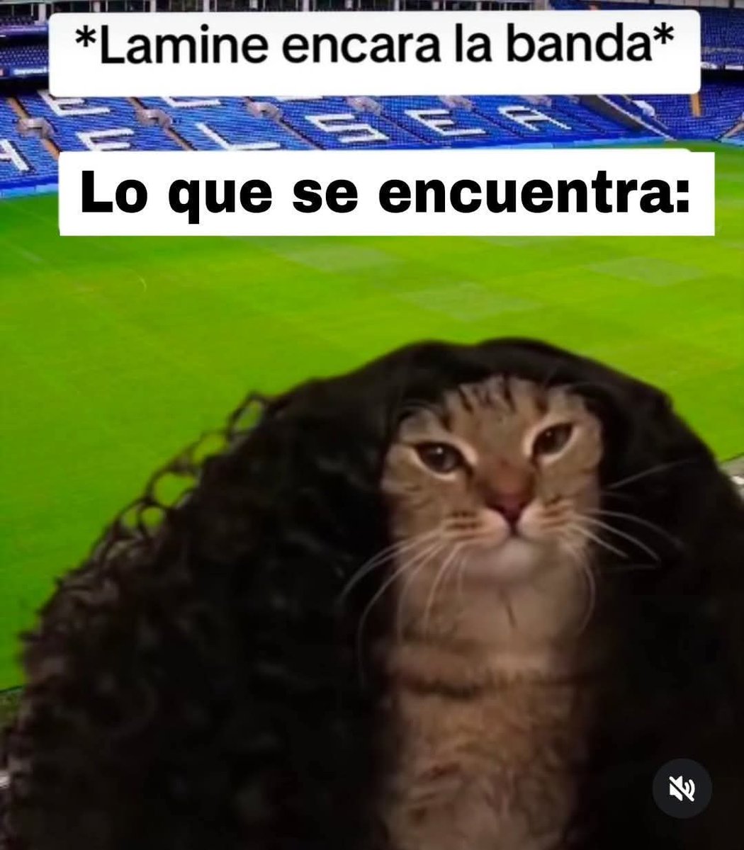 <a href="/Mercado_Ingles/">Futbol de Inglaterra</a>