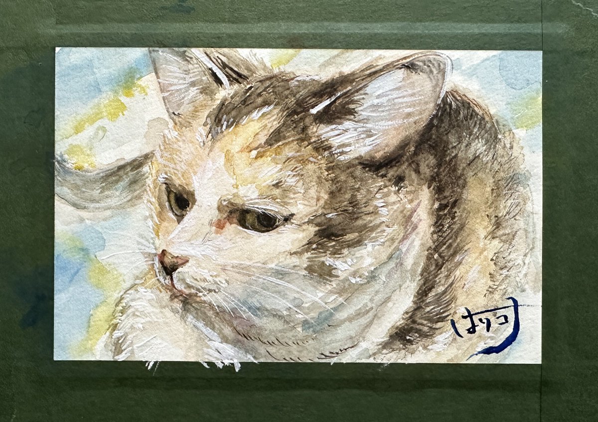 三澤 寛志 ミサミサ先生 (@misawazarigani) / Posts / X