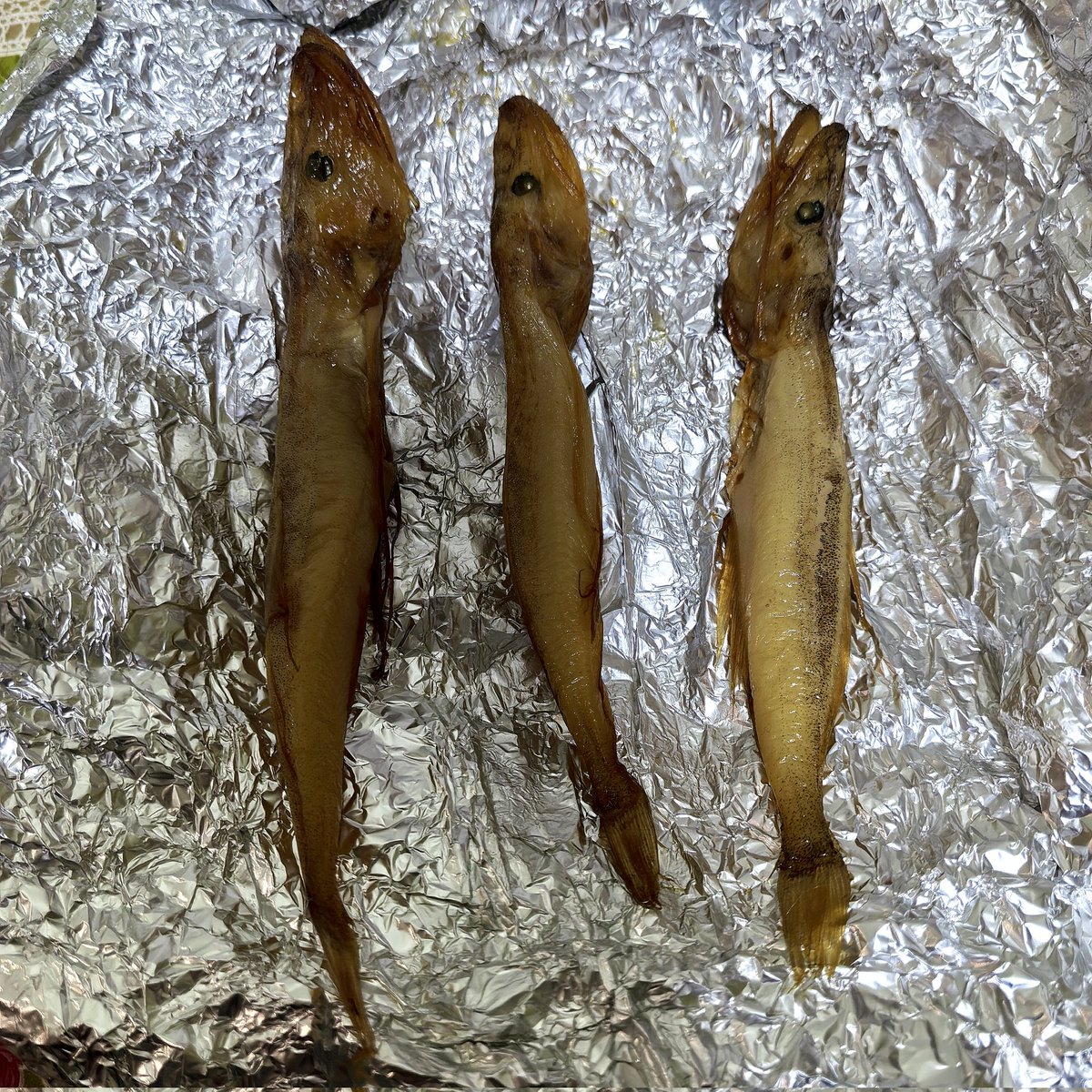 VVVEKB's tweet image. Голомянка холодного копчения. Одна штука - 500 рублей, а за 1 кг - 20 тысяч.
Мне понравилась, такая жирненькая. Если её оставить на солнце, она растает - вот насколько она жирная😮