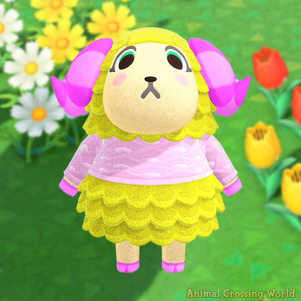 Happy Birthday to Willow! 🎉🐑