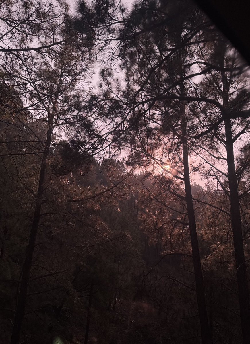 thechaifairy's tweet image. this is how i see you.