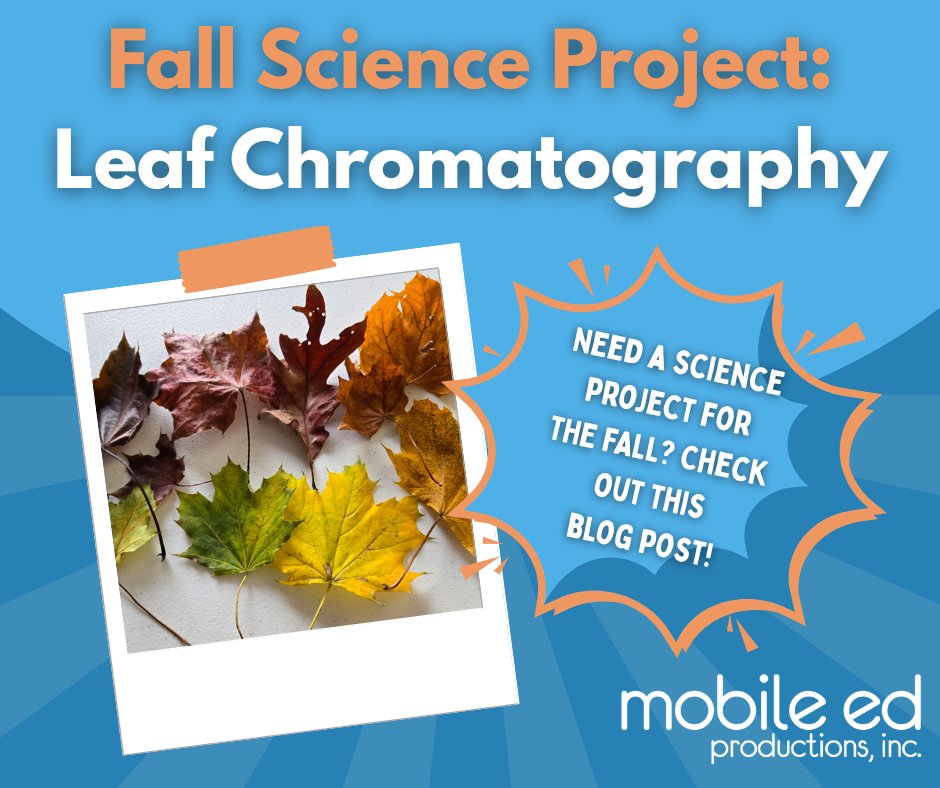 MobileEdProd's tweet image. If you&apos;re looking for a fun fall project, try gathering some fallen leaves for chromatography! 🍂 Follow the link for full instructions: mobileedproductions.com/blog/fall-scie… #handsonlearning #projectbasedlearning #stemeducation #scienceforkids