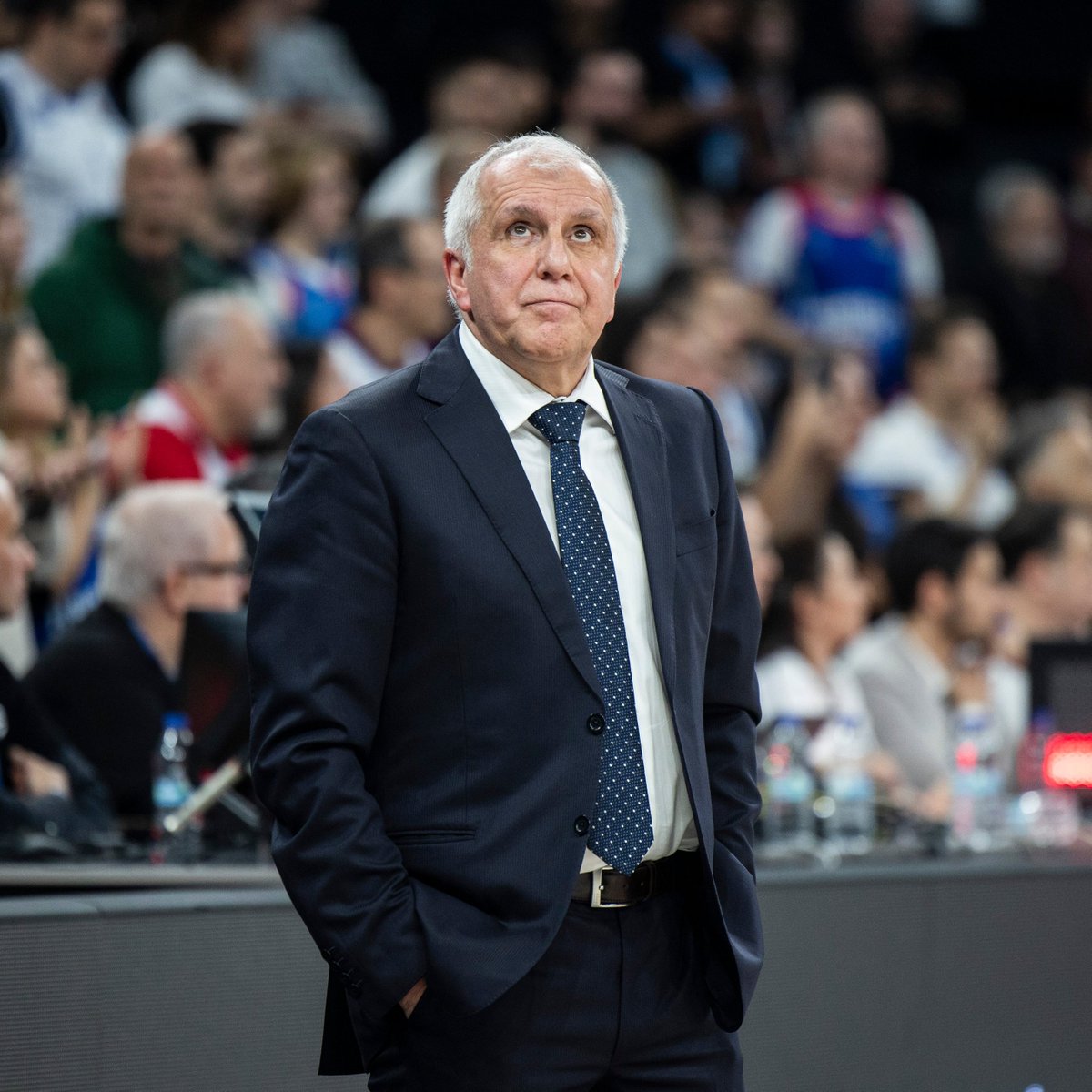 Eurohoops Türkiye tweet media