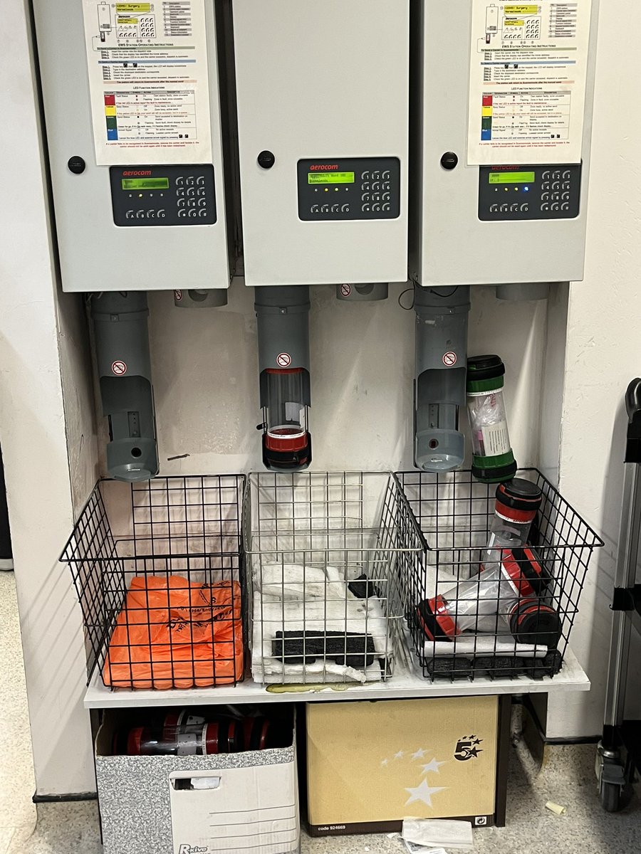 Carol Bewick tweet media