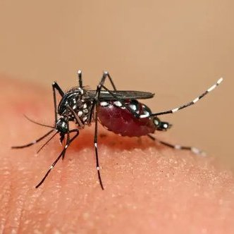 🚨URGENTE: Brasil ganha 1ª vacina de dose única contra a dengue no mundo; Anvisa aprova imunizante do Butantan.
 
Butantan-DV será aplicada inicialmente em pessoas de 12 a 59 anos. Com alta eficácia e produção já iniciada, Ministério da Saúde deve definir quando começa a